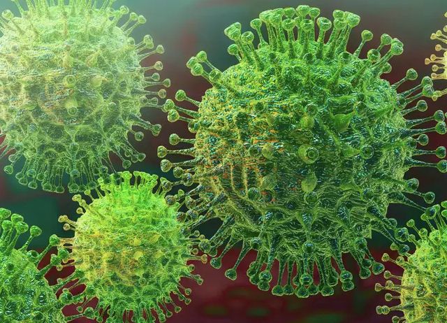 Coronavirus that causes COVID-19